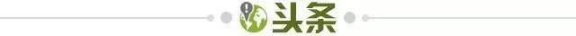 c7728da1-51e7-4867-a01a-023fef24263b.jpg@!img01