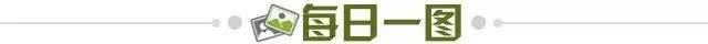 342af285-5e4f-4f17-91be-98aa8cc7dd2d.jpg@!img01